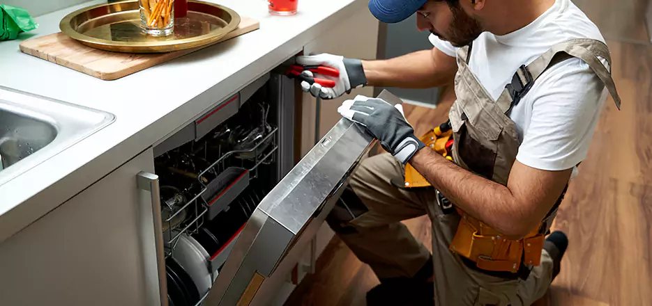 Same Day Dishwasher Not Draining Repair in Lowell