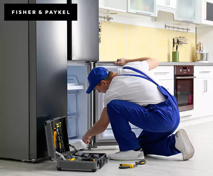 Top-Rated Fisher & Paykel Appliance Experts: Your Brand Specialist in Lowell, MA